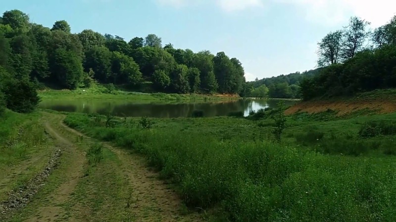 Yenice Göktepe Ekoturizm Alanı (Karabük)  Koruma altına alınan anıt ağaçlarıyla dikkat çeken Yenice Göktepe Ekoturizm Alanı fotoğrafçılık, yürüyüş, doğa turizmi ve bilimsel turlar için iyi bir alternatif. Karabük’te yer alan ekoturizm alanı, toplam 12 kilometrelik bir yürüyüş güzergahına sahip.