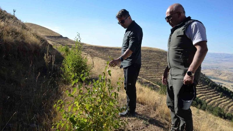 Abdurrahman Gazi Ekoturizm Alanı (Erzurum)   Erzurum’da yer alan Abdurrahman Gazi Ekoturizm Alanı’nda 7 kilometreyi aşkın yürüyüş, yaklaşık 4 kilometrelik bisiklet parkuru bulunuyor. İnanç turizminin de önemli noktalarından biri olan alan, 2 bin 300 rakımda bulunuyor.