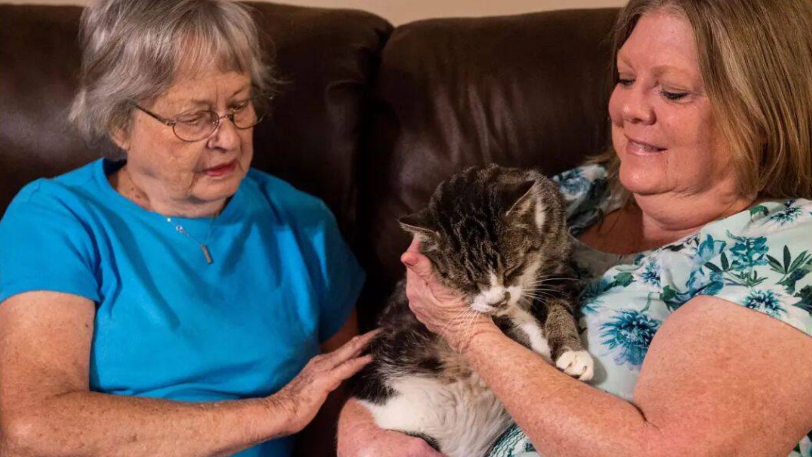 Alabama'da iki kadın sokak kedilerini besledikleri ve kısırlaştırmaya çalıştıkları için ceza aldı