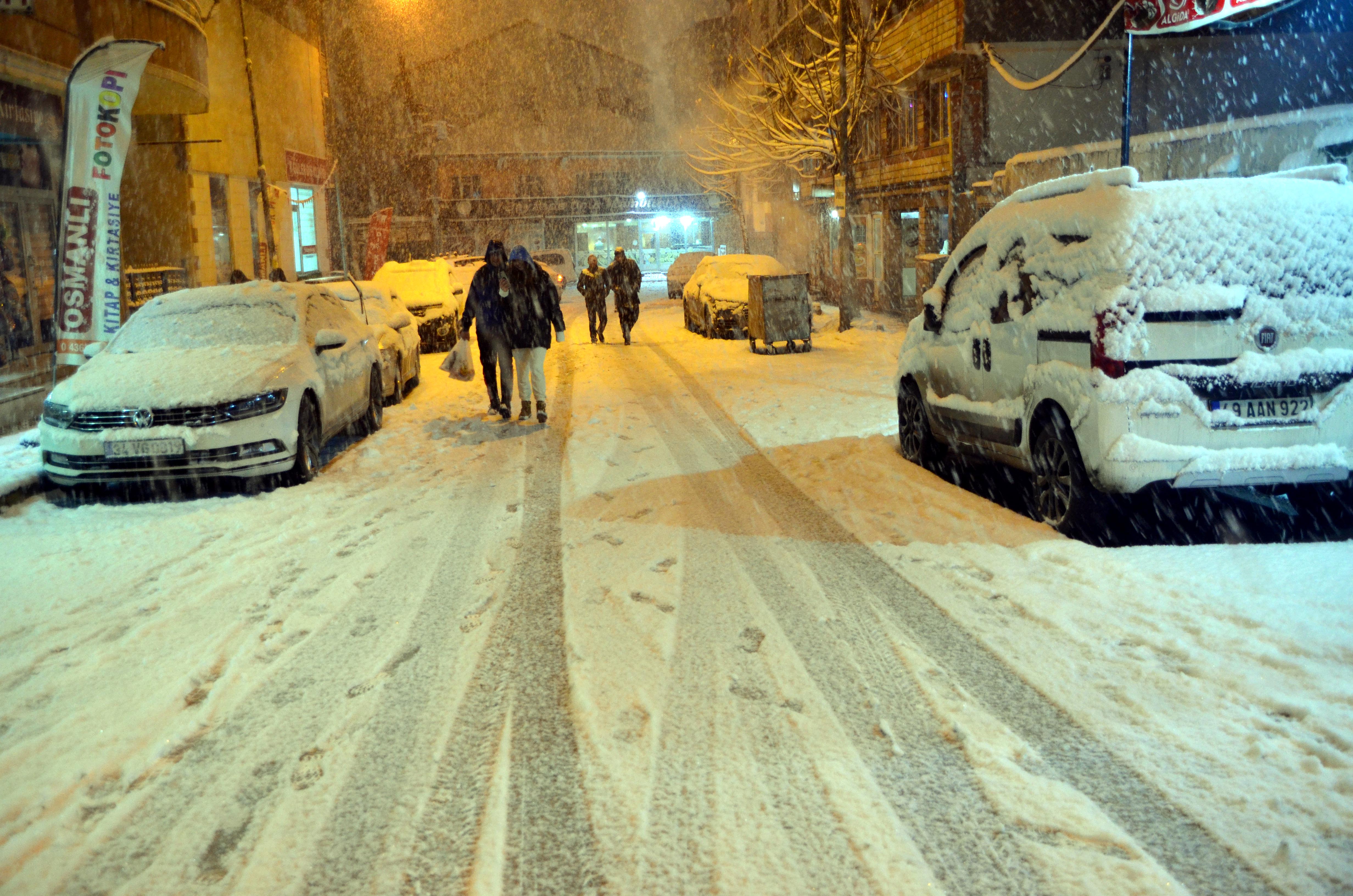 Bitlis''te de günlerdir etkili olan soğuk hava, yerini kara bıraktı.