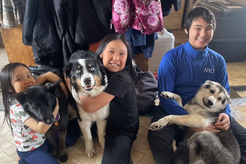 Köpek Nanuq, 240 kilometre uzaklıkta bulundu - Resim : 2