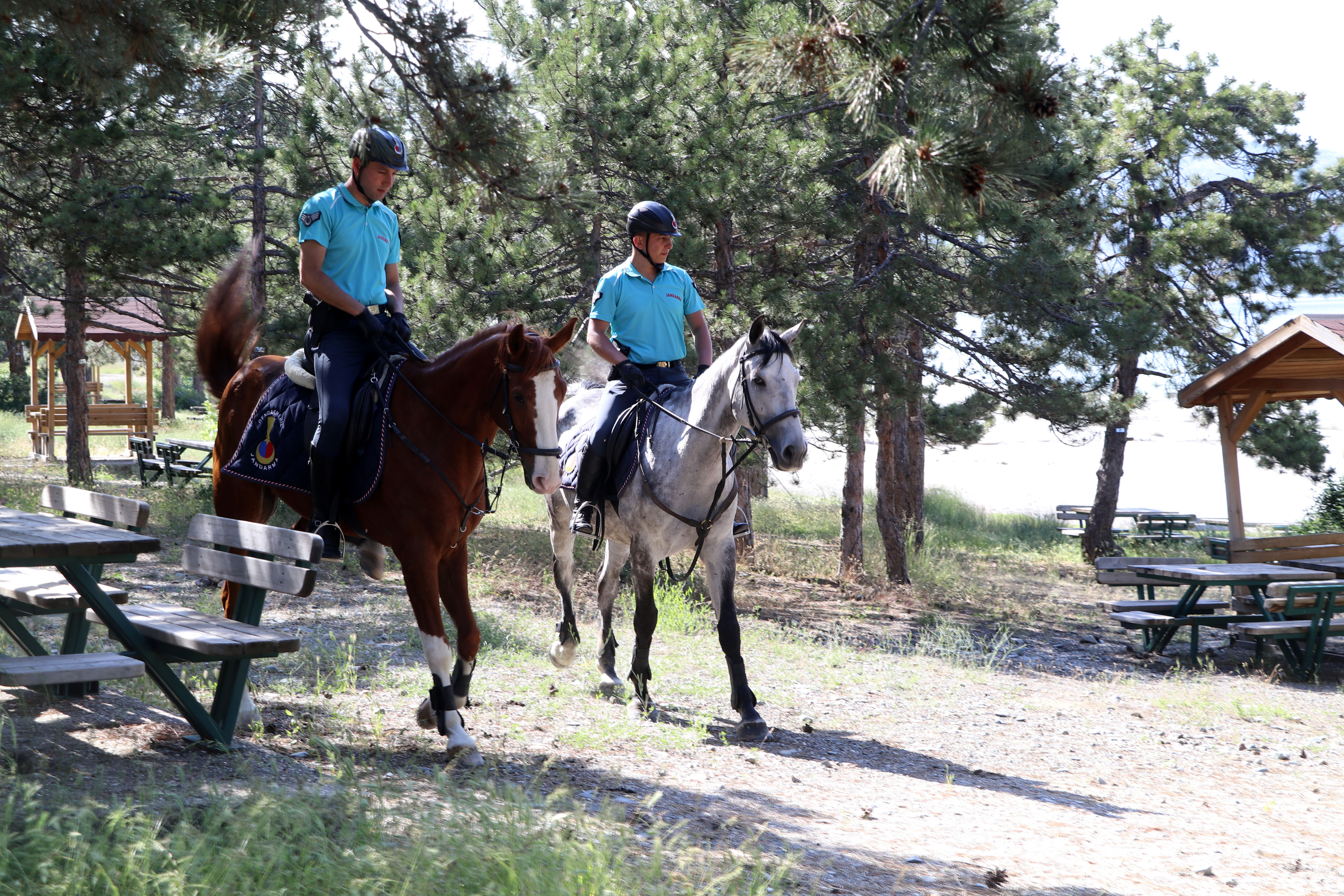 Salda Gölü çevresinde bulunan ormanlık alanlarda piknik yapan kişiler ateş yakılmaması konusunda Atlı Jandarma Timi'nce uyarılırken, çevre ve ormanla ilgili suç oluşturabilecek konularda ziyaretçiler bilgilendiriliyor.
