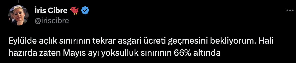 Ekonomistlerden, yeni asgari ücrete ilk tepkiler: 1-2 ay içinde açlık sınırı altında kaybolacak