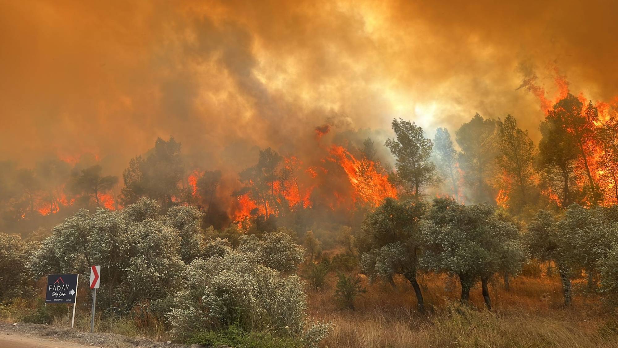 muğla ve adana da orman yangını