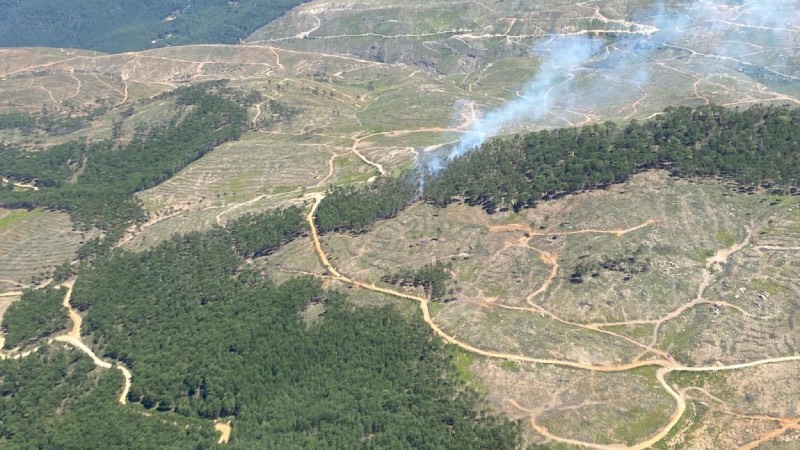 Muğla’da orman yangını; müdahale ediliyor