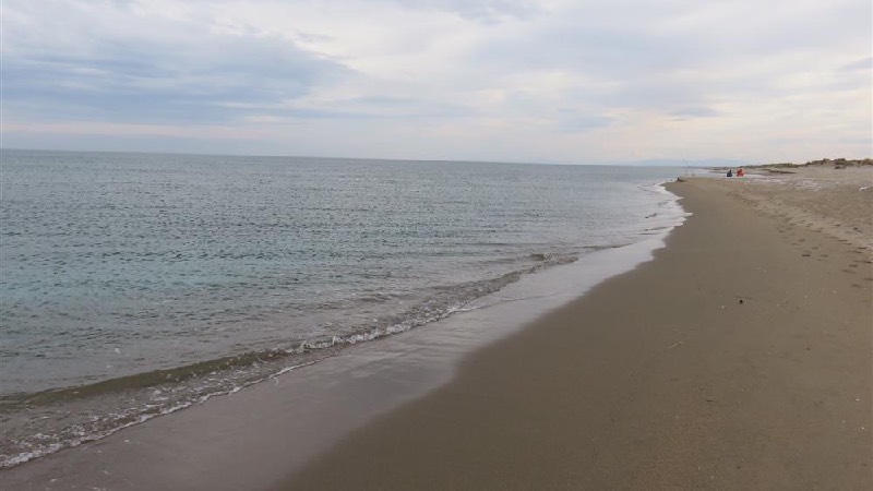 Sakarya’da üç ilçede denize girme yasağı