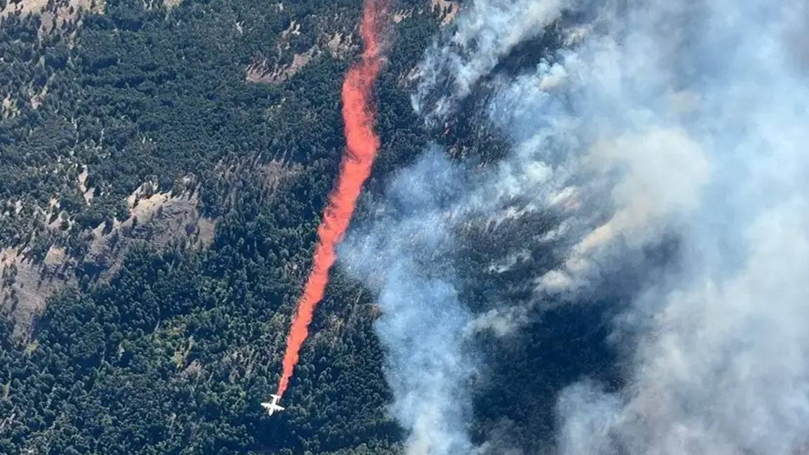 Νέες στρατηγικές για την καταπολέμηση των δασικών πυρκαγιών