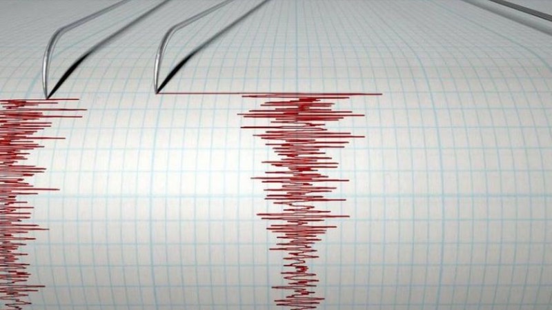 AFAD Deprem Dairesi Başkanlığı'nın geçtiği verilere göre saat 08.05'te Van sallandı. Merkez üssü Tuşba olan depremin büyüklüğü 4 olarak açıklanırken, sarsıntının derinliği 12.82 kilometre olarak ölçüldü.