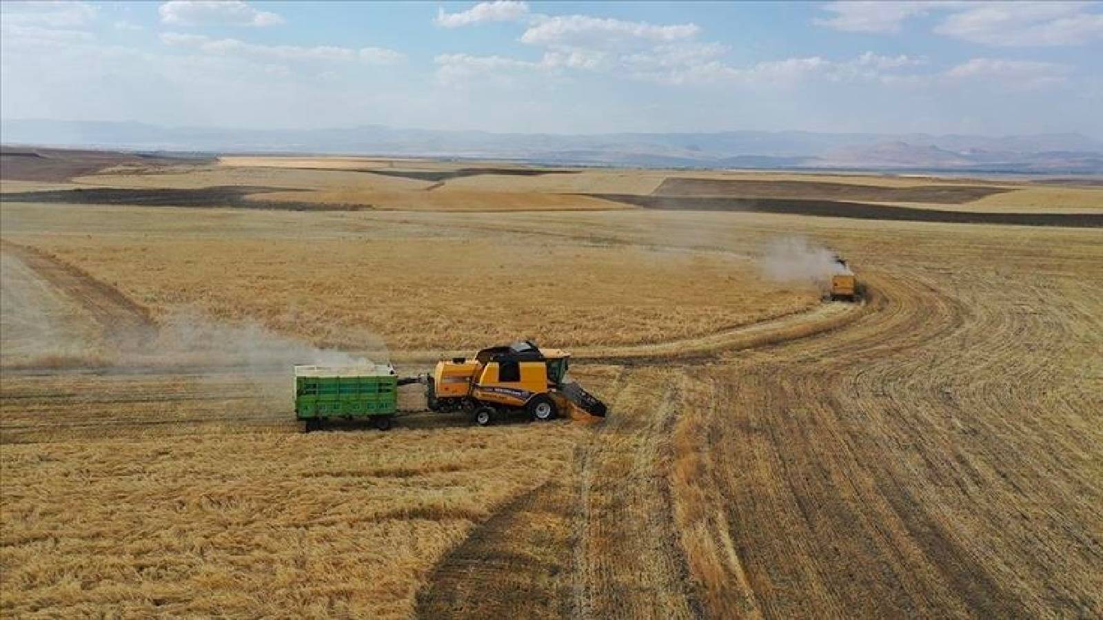 Türkiye geçen yıl 14 milyar dolarlık tarım ürünü ithal etti