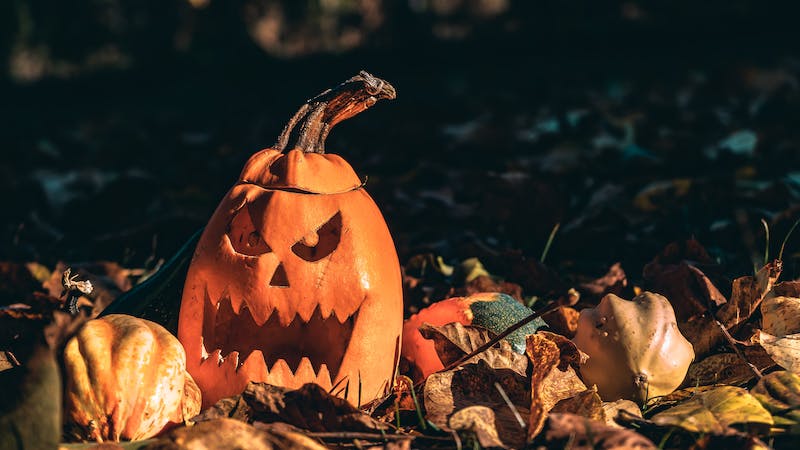 1. Cadılar Bayramı, “Azizler Akşamı” anlamına geliyor: Cadılar Bayramı Batı dünyasındaki başlıca ülkelerde “Halloween” olarak da isimlendiriliyor. Halloween ise “All Hallow’s Eve” kelimesinin kısaltmasından geliyor. All Hallow’s Eve ise “Azizler Akşamı” demek.