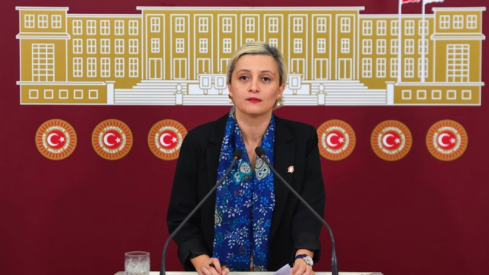 DEM Partili Koca'dan Bakan Bayraktar'a: Siyanürlü altın madenciliği yapılan bölgelerden bir bardak su içebilir misiniz?