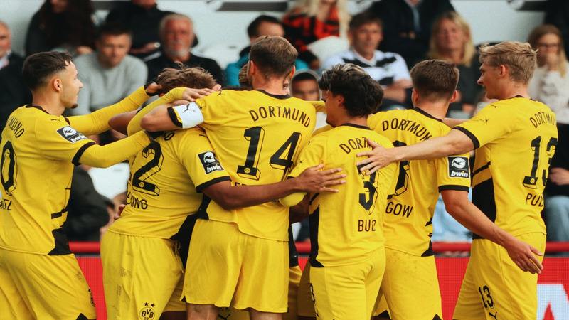 14. Borussia Dortmund