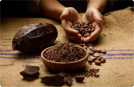 Uzmanlar fiyat artışlarına gerekçe olarak, üst üste dördüncü sezonda da süren üretimdeki düşüşe işaret ediyor. Kakao fiyatlarındaki artışın, çikolata severlerin cebini vurabileceği belirtiliyor.