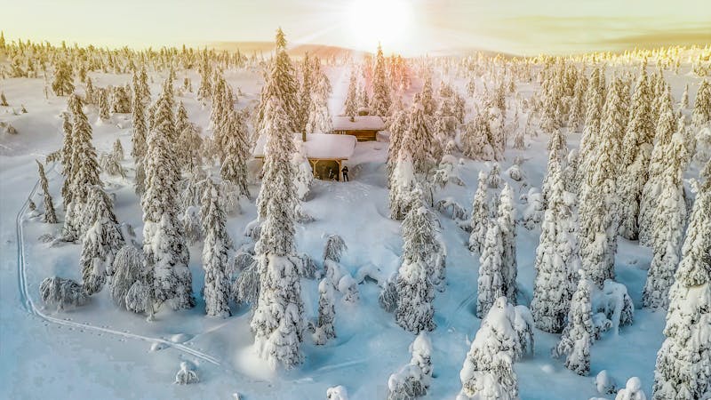Finlandiya'nın sırrı: Neden dünyanın en mutlu ülkesi?