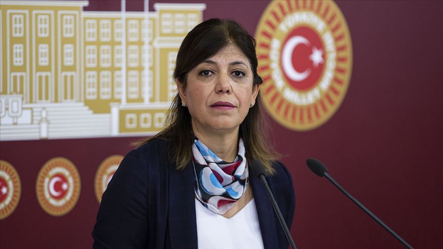 Meral D. Beştaş: Yüzde 5.1 