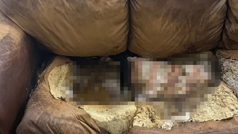 Kızının cesedini kanepede çürümeye terkeden ebeveynler 40 yıl hapis cezasına çarptırıldı