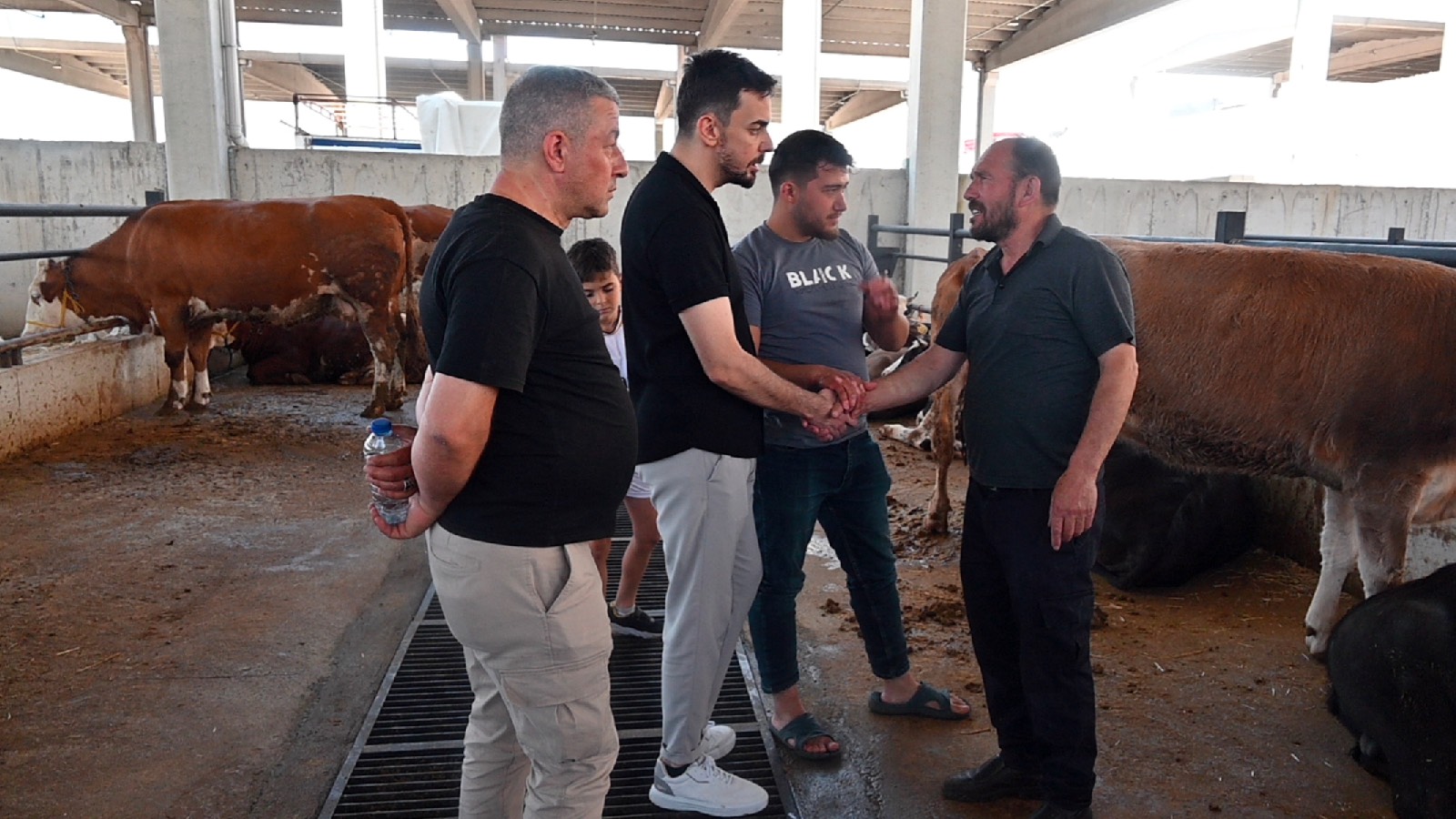 Besiciler satışlardan mutsuz: Tarım Bakanlığı kendi beslesin kendi millete satsın
