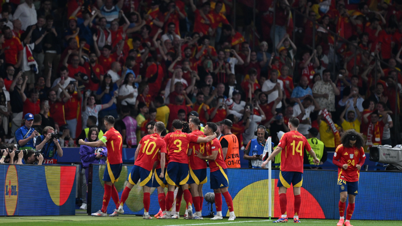 İspanya-İngiltere finalinden kareler