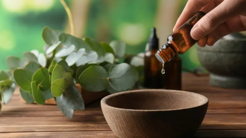 Doç. Dr. Çelik, sözlerini "Bu aromatik yağlar ve karanfil, sirke gibi maddelerle yapılmış esans veya spreyler oda kokusu olarak kullanıldığında da sivrisinekleri bir miktar uzak tutabilmektedir. Lakin bütün bu içeriklere karşı da hem ciltte hem solunum yollarında alerji gelişme riski bulunmaktadır, dikkatli kullanım önerilir. Ayrıca dış ortamda vakit geçirirken mümkünse açık renkli, uzun ve bol kıyafetler giyilmesi tercih edilmelidir” diyerek sonlandırdı.