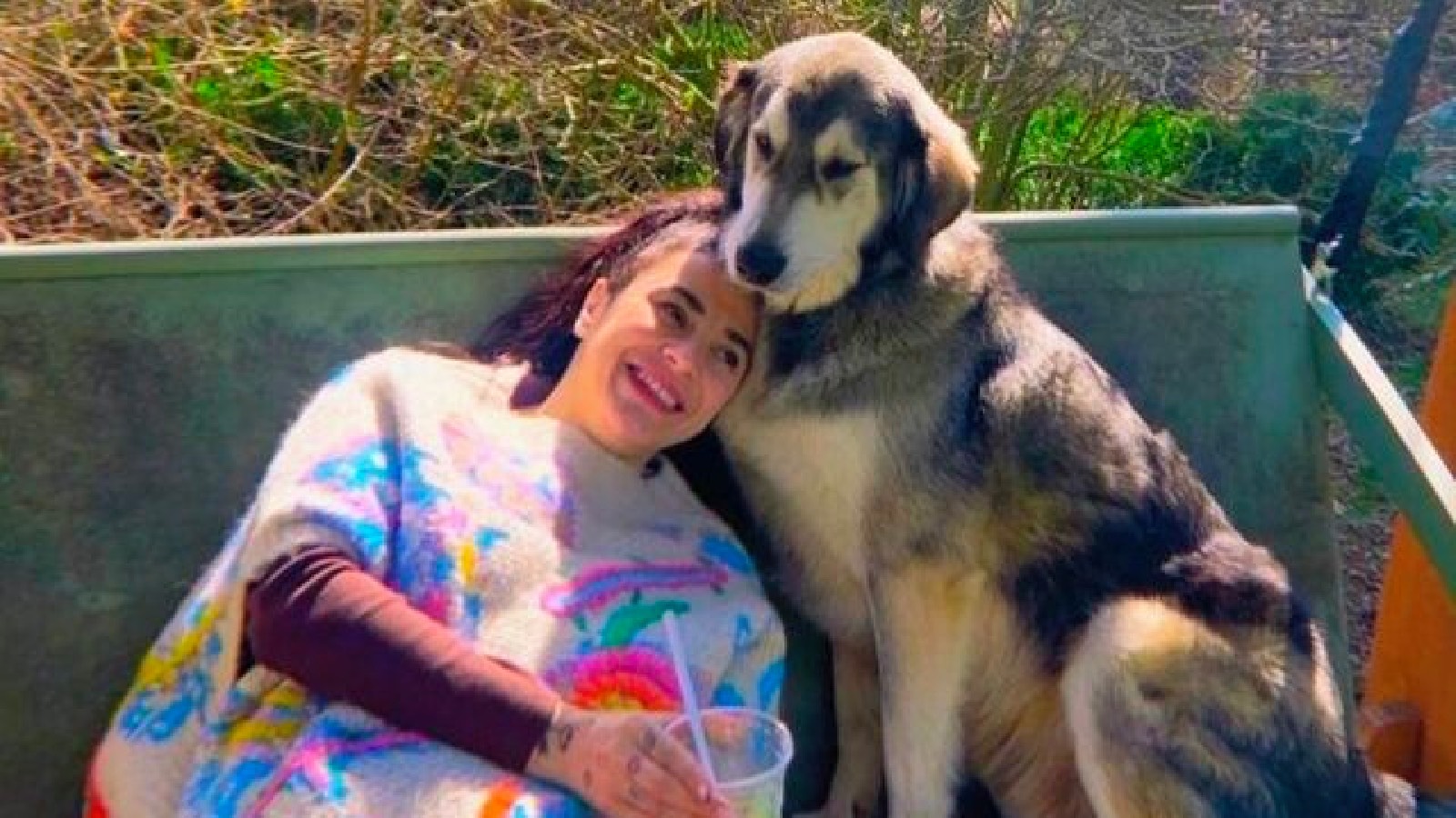 Ceylan Ertem'den "sokak hayvanları sahipsiz değildir" paylaşımı: Yaklaşanı yakarız!