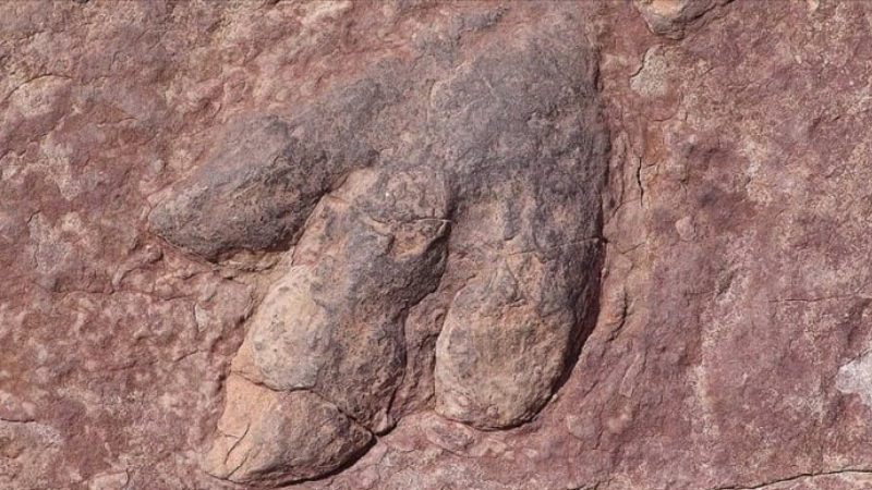 Çin'de yaklaşık 200 milyon yıl öncesine ait dinozor ayak izleri bulundu