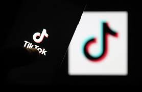 Kanada, "güvenlik riskleri" gerekçesiyle TikTok'un ülkedeki ticari faaliyetlerini yasakladı