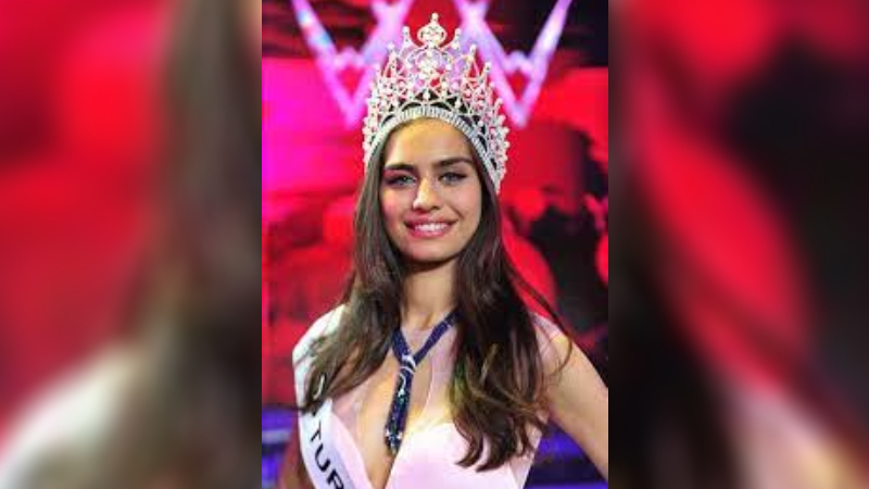 Amine Gülşe - 2014