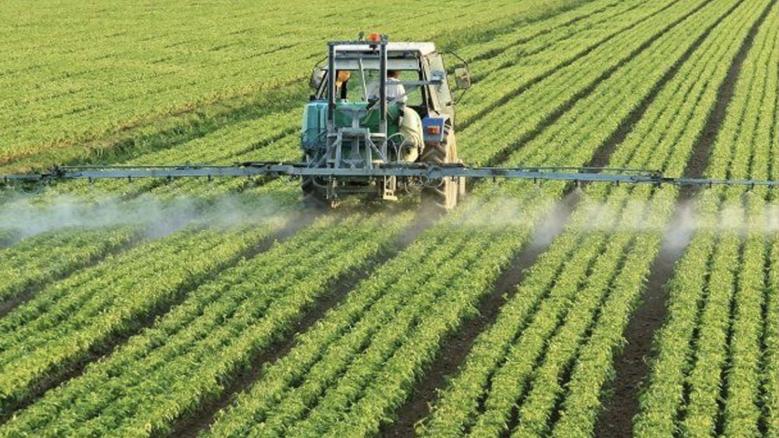 CHP'li Gürer: İnsan sağlığı için zararlı pestisitin satışı ve ülkeye girişi kesinlikle yasaklanmalıdır