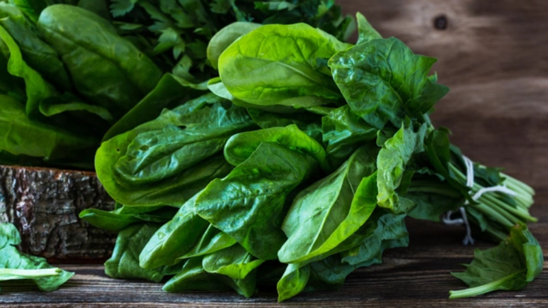 Ispanak sanıp yediler, 11 kişi hastanelik oldu, birinin durumu ağır!