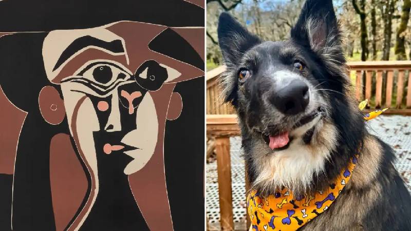 Picasso tablolarına benzetilen köpek, sosyal medyada binlerce takipçiye ulaştı