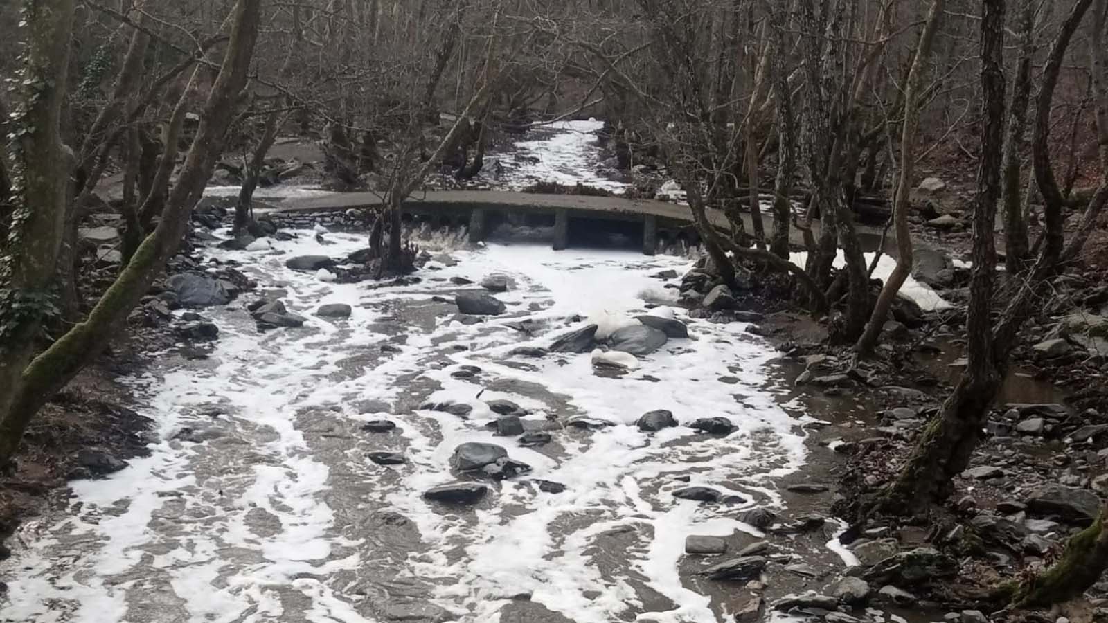Manyas’taki Ketenlik Deresi, ahır temizliğinde kullanılan kimyasallarla beyaza büründü