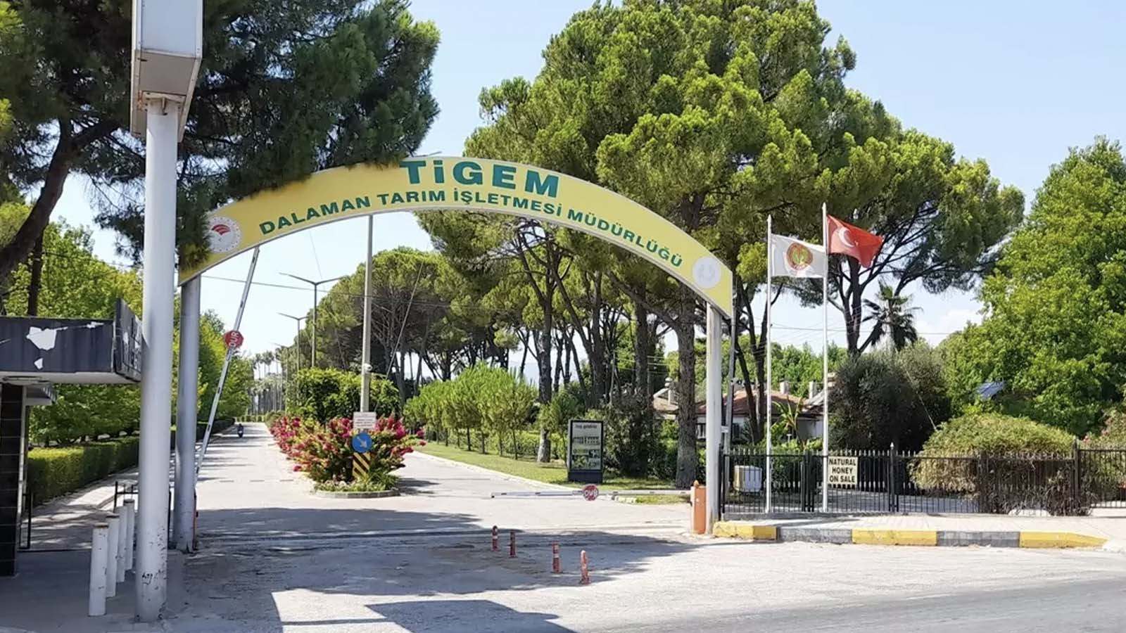 Dalaman Tarım İşletmesi Müdürlüğü elektrik alım ihalesi yapacak