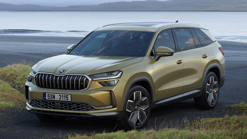 11 - Skoda: 43972 adet