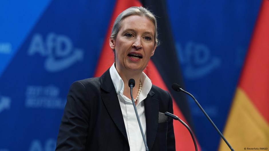 AfD'nin göçmen karşıtı vaatlerle dolu seçim programı: "Sınırlar kapanacak"