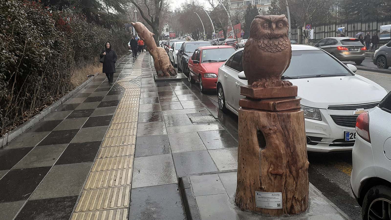 Kavaklıderem Derneği, “Ağaçlarımızı Geri İstiyoruz” kampanyası başlattı: Ankara sokakları kuruyor