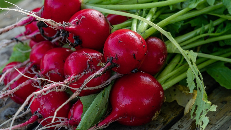 10. SÜLFORAFAN: "Bilinen en güçlü, doğal kanser koruyucu moleküllerden biri olan sülforafanı lahana, karnabahar ve turpta bol miktarda bulabilirsiniz. Sülforafanı daha etkili hale getirmek için o sebzeleri önce küçük parçalara bölün, 15-20 dakika bekledikten sonra tüketin. Lahanayı, karnabaharı, brokoliyi ister çiğ, ister pişmiş yiyin fark etmiyor."