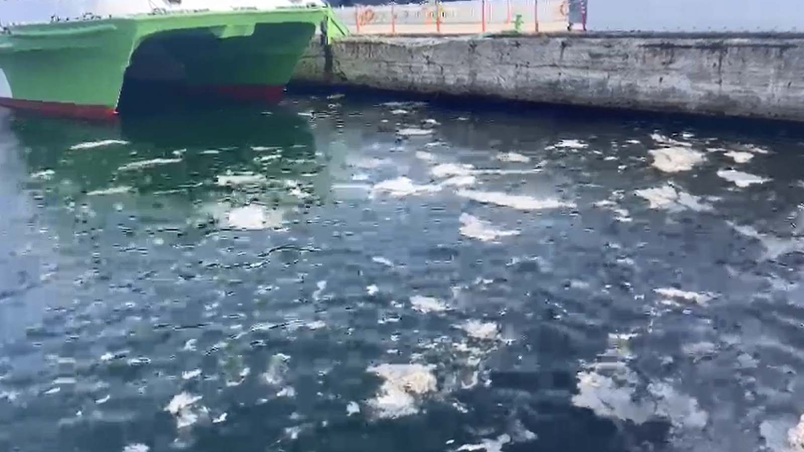 Mudanya'da balıkçılara müsilaj engeli: "Marmara Denizi ölüm çığlığı atıyor"