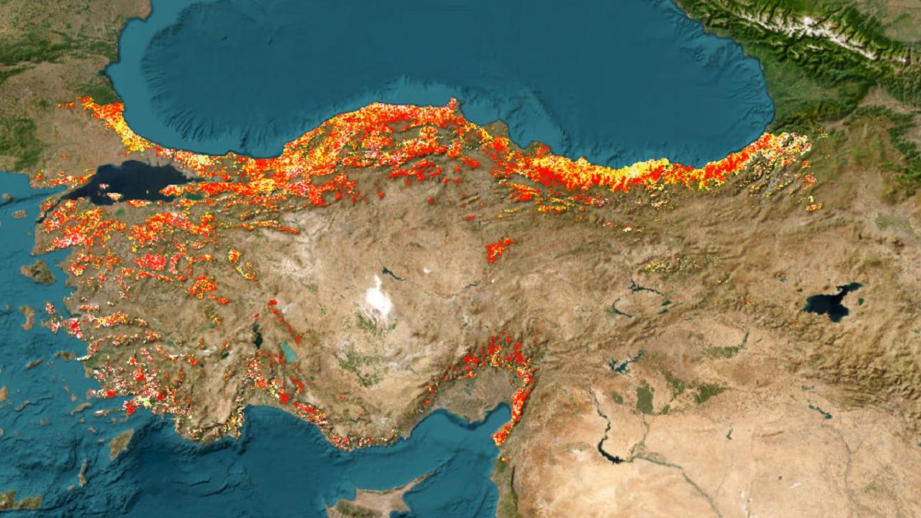 Türkiye genelinde 2017–2024 yıllarında orman kaybı noktalarına ilişkin simülasyon. Harita kızardıkça önceki yıllara göre fark artıyor.