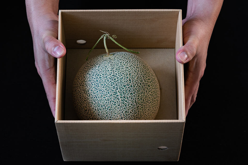 Yubari kavunu