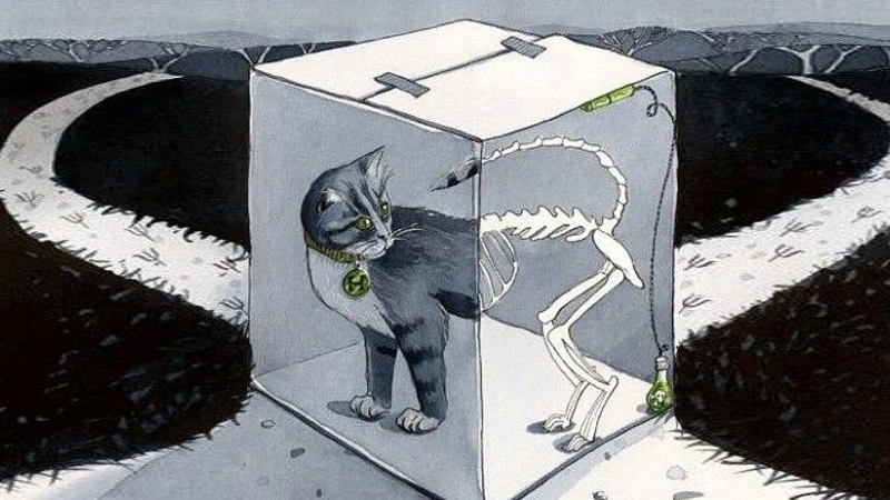 4. Schrödinger’in kedisi: 1935’te fizikçi Erwin Schrödinger, kuantum mekaniğinin karmaşık doğasını anlatmak için bir düşünce deneyi tasarladı. Kutunun içine yerleştirilen hayali bir kedi, radyoaktif atomun bozunmasına bağlı olarak canlı ve ölü olabiliyordu. Bu paradoks, kediyi bilimin en ünlü simgelerinden biri haline getirdi. Gerçekte hiçbir kedi kutuya kapatılmamış olsa da, Schrödinger’in kedisi günümüzde bilimsel ve popüler kültürel bir metafor olarak yaşamaya devam ediyor.