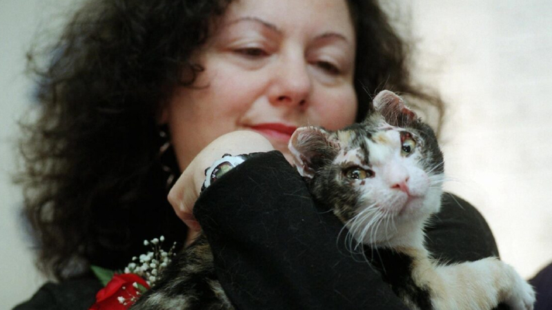 5. Scarlett: 996’da New York’un Brooklyn bölgesinde terk edilmiş bir garajda yangın çıktığında Scarlett adı verilen bu anne kedi, gözleri neredeyse kapanacak kadar yanmış olmasına rağmen beş yavrusunu tek tek alevlerin arasından çıkardı.  Hepsini kurtardığından emin olmak için, gözleri görmediği halde burunlarıyla dokunarak kontrol etti. Bu kahramanlık hikâyesi dünya basınında yer aldı ve Scarlett, hayvan sevgisinin sembolü haline geldi. Daha sonra sahiplenildi ve hayatının geri kalanını huzurlu bir evde geçirdi. Onun adına verilen “Scarlett Hayvan Kahramanlığı Ödülü” ise cesaretin ölümsüz bir hatırası olarak kaldı.