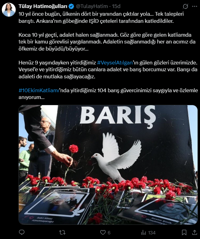 DEM Parti  Eş Genel Başkanı Tülay Hatimoğulları