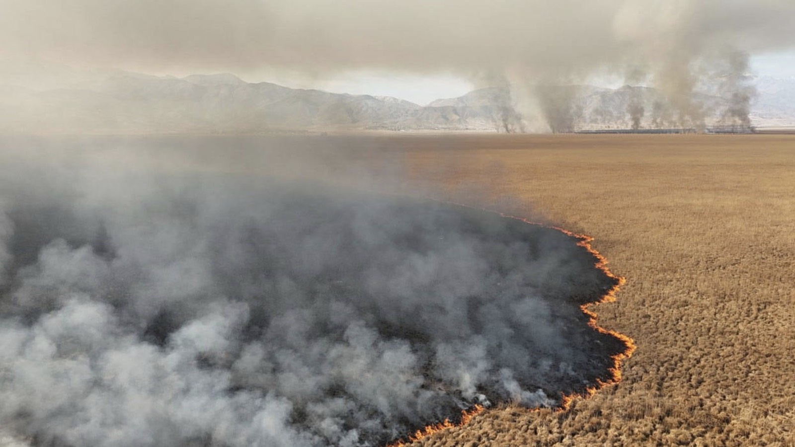 Nehil Sazlığı'ndaki yangın 4’üncü günde söndürüldü
