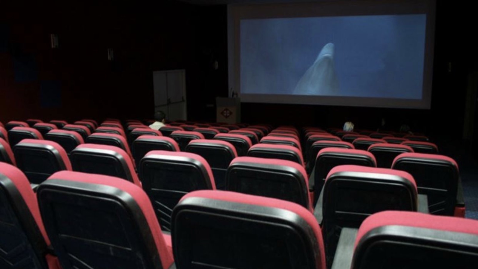 Sinemalarda bu hafta: 5 yeni film vizyona girecek