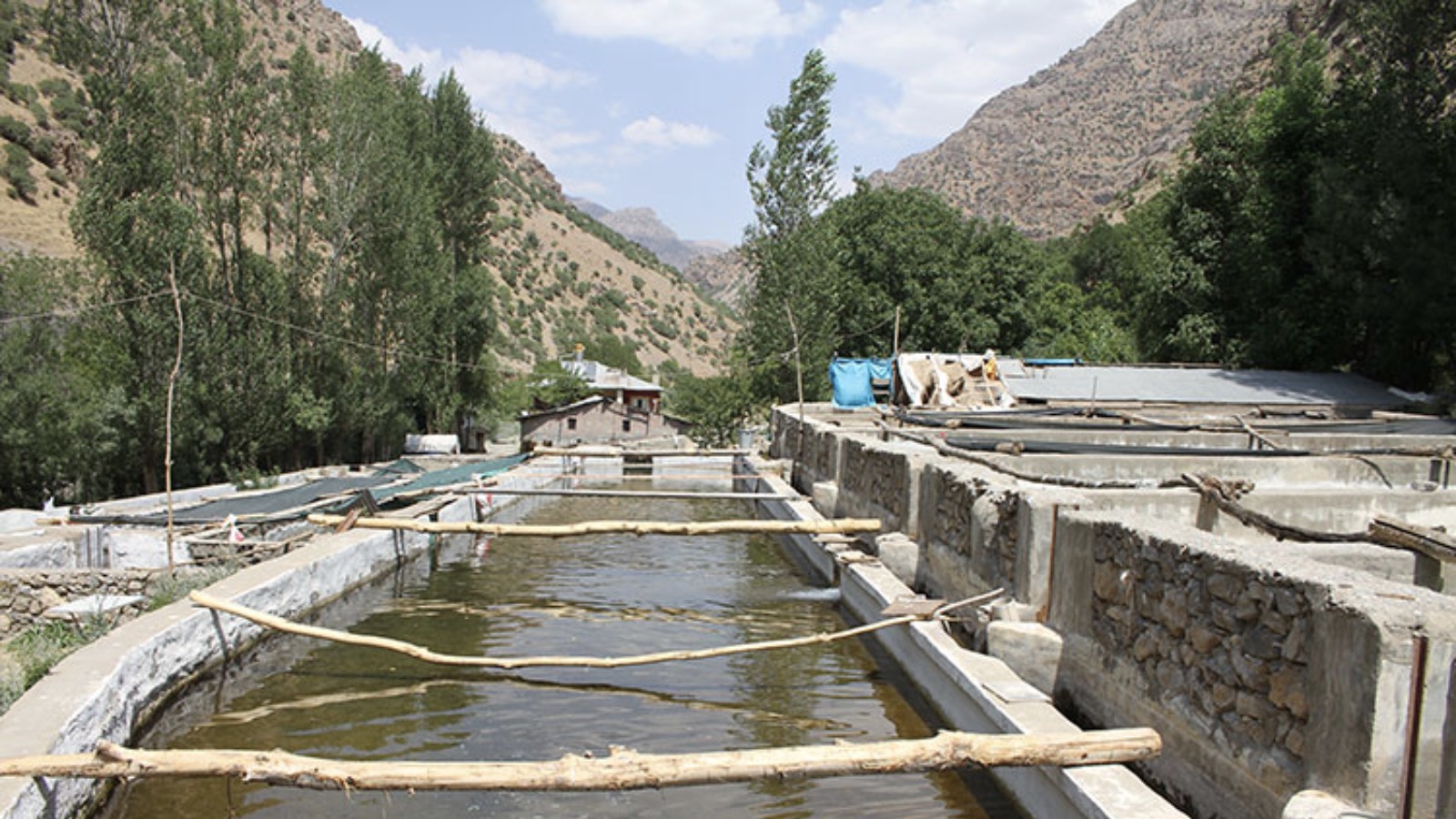 'İş insanı kaçak çiftlik kurdu, milletvekilini tehdit etti' iddiası: Konu Erdoğan'a kadar gitti ancak sonuç alınamadı