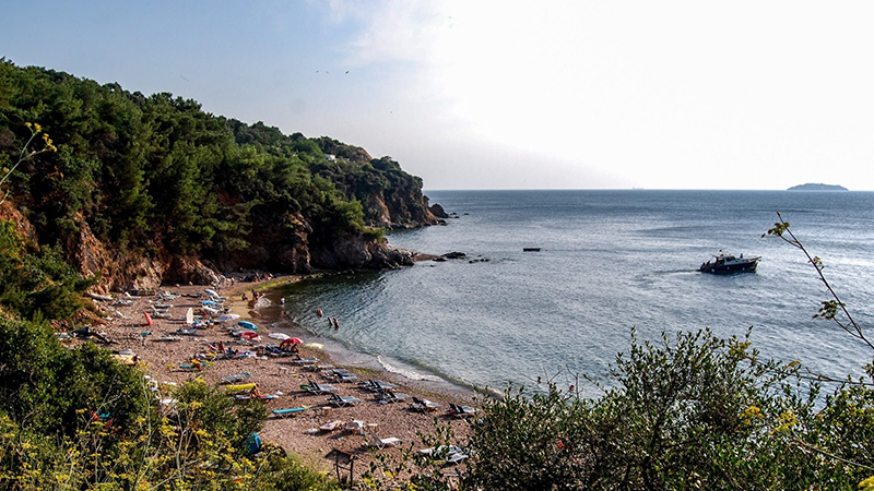 Marta Koyu’nu kiralayan Adalar Belediyesi’nden “ücretsiz kullanım ve inşaat yapılmaması” talep edildi; Başkan Akpolat’tan açıklama geldi