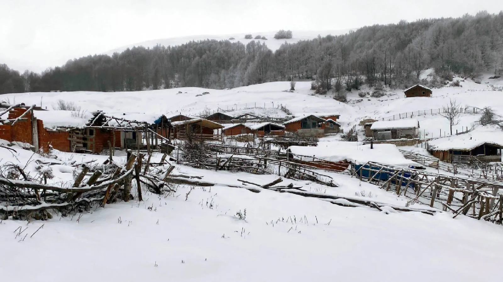 Amasya'nın yüksek kesimlerinde kar yağışı etkili oluyor