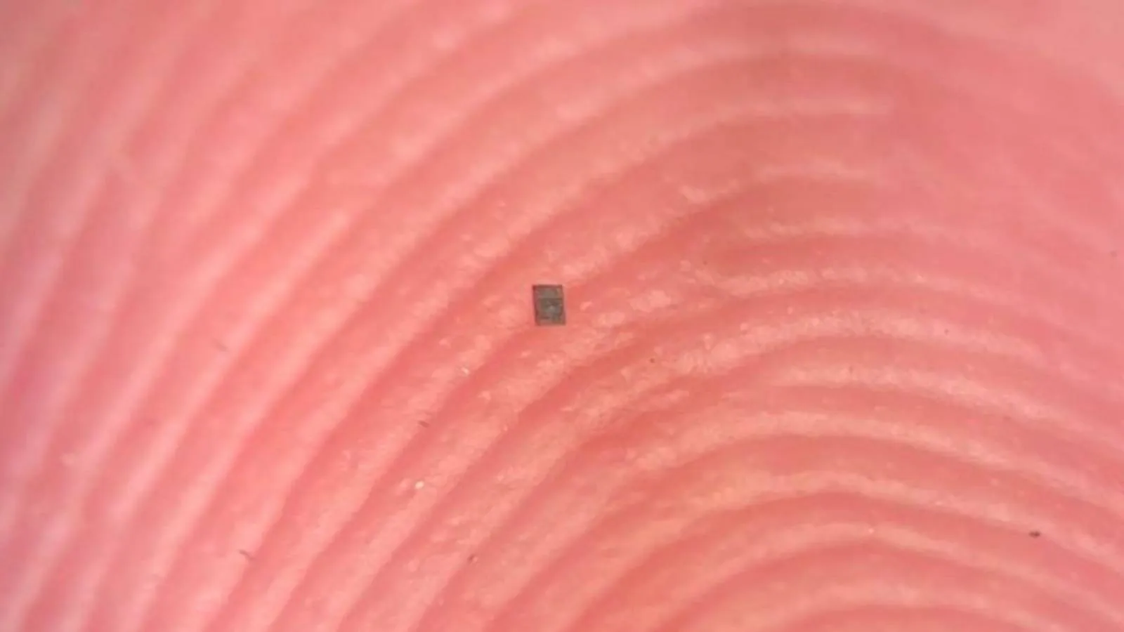 'Dünyanın en küçük robotu' üretildi: Bir kum tanesinden daha küçük; hissedip karar verebiliyor