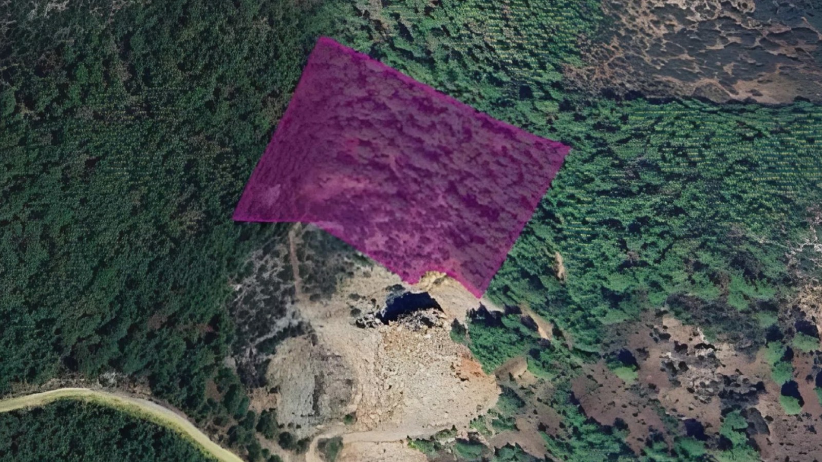 DSİ'den Muğla'da ormanlık alana maden ocağı projesi