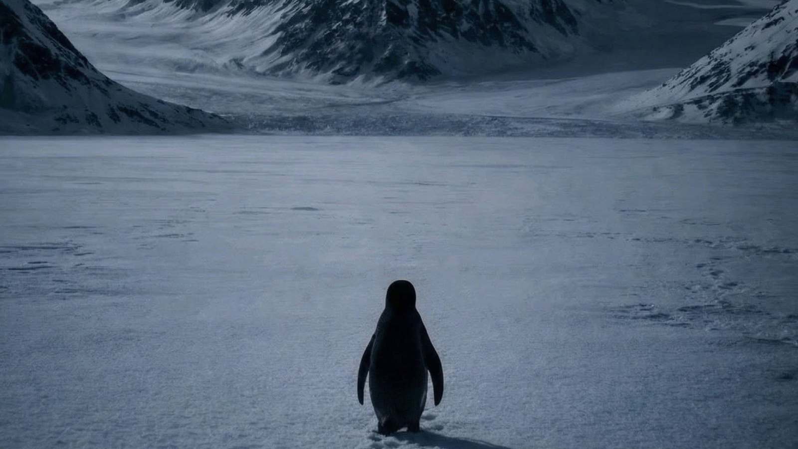 Sosyal medyayı sardı, Trump'ı alay konusu yaptı: 'Nihilist Penguen', sürünün peşinde gitmek istemeyenler için ilham kaynağı oldu...